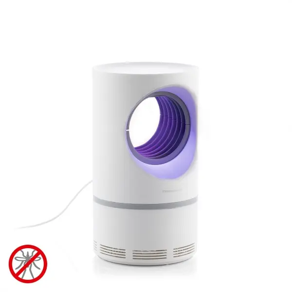 8.webp