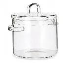 Pentola con coperchio Vetro Borosilicato Trasparente (15,4 x 16,8 x 20,5 cm)