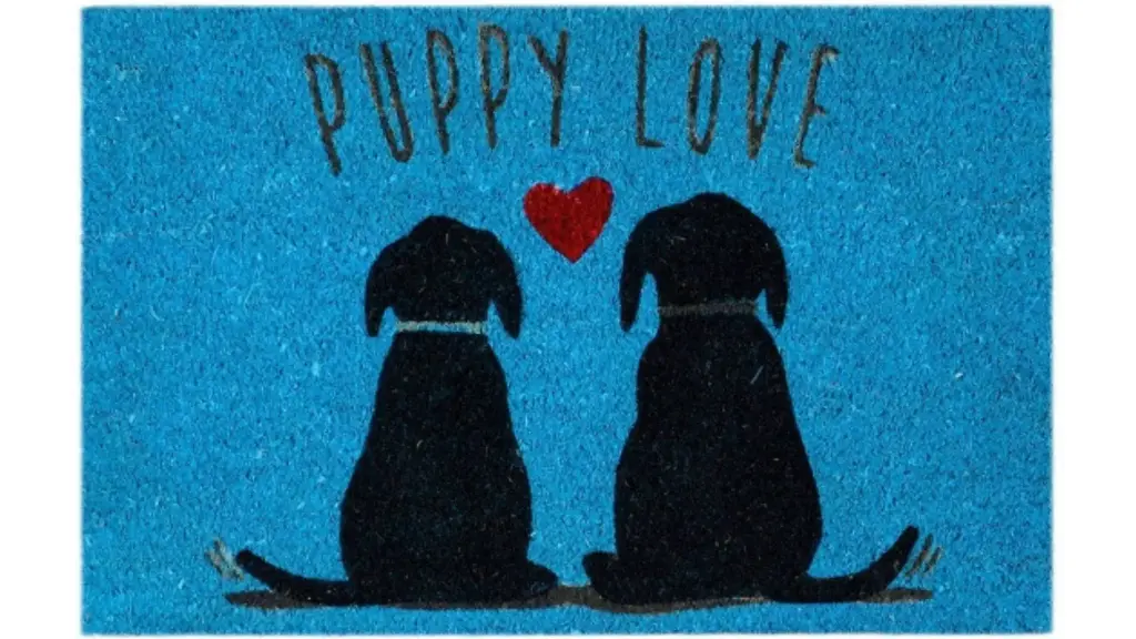 Doormat EDM 74762 Blue 60 x 40 cm