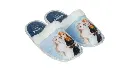 Frozen Slippers