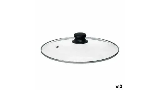 Couvercle pour marmite 28 cm Verre Argenté (12 Unités)