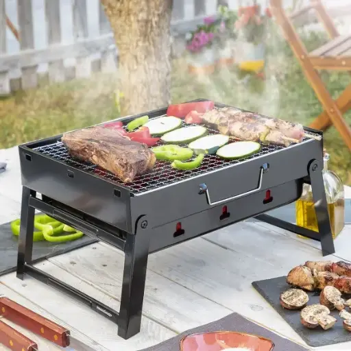 Barbecue Pliable Portatif à Charbon BearBQ InnovaGoods 